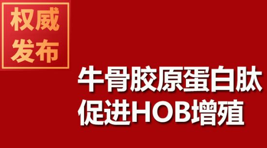 牛骨胶原蛋白肽促进HOB增殖