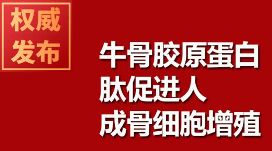 牛骨胶原蛋白肽促进人成骨细胞增殖
