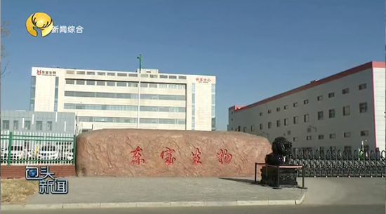 k8凯发：“两条腿”闯天下 打造品牌影响力