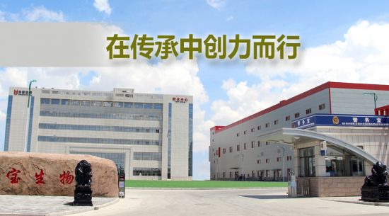 在传承中创力而行 k8凯发被授予“内蒙古老字号”称号