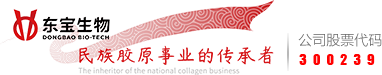 k8凯发
